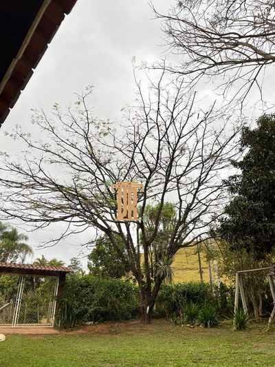 Sítio, 2 quartos, 2500 m² - Foto 2