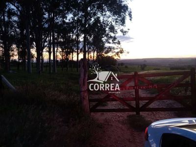 Fazenda, 167 hectares - Foto 4