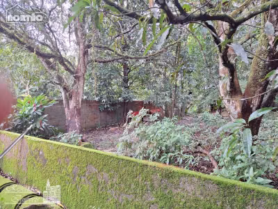 Casa, 4 quartos, 41 m² - Foto 3
