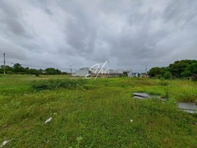 Terreno - Foto 2