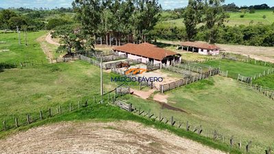 Fazenda, 653 hectares - Foto 1