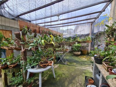 Terreno, 353 m² - Foto 1