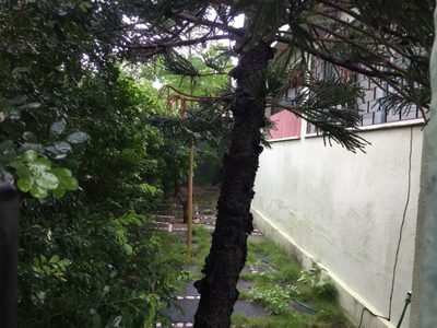 Casa, 4 quartos, 739 m² - Foto 3