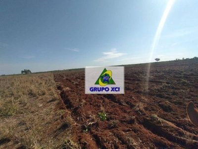 Fazenda, 785 hectares - Foto 3