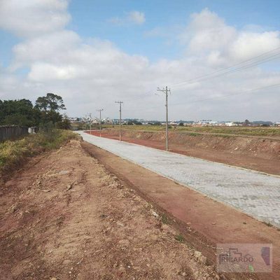 Terreno, 2 hectares - Foto 3