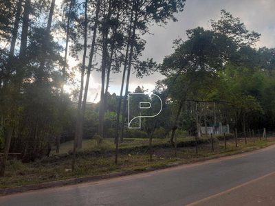 Terreno, 2 hectares - Foto 3
