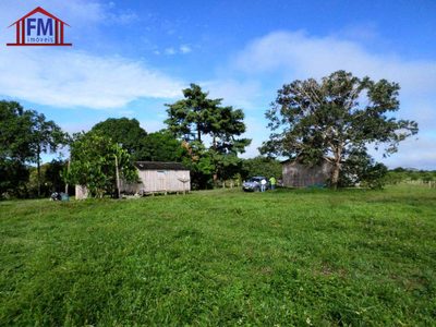 Fazenda - Foto 3