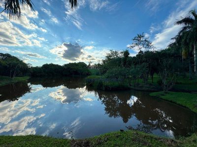 Chácara, 7 quartos, 2 hectares - Foto 4