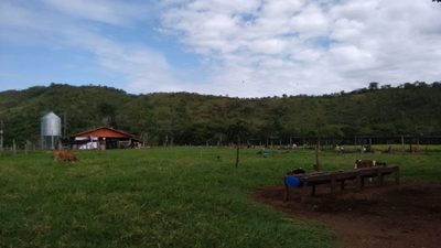 Fazenda, 114 hectares - Foto 3