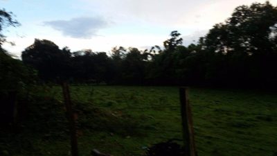 Sítio, 2 quartos, 2 hectares - Foto 5