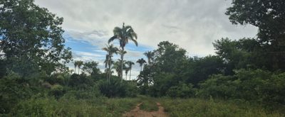 Fazenda, 2350 hectares - Foto 2