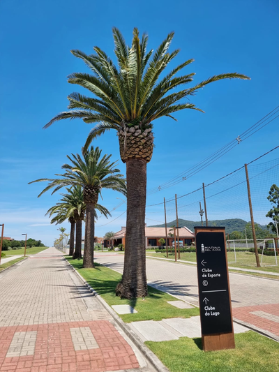 Terreno, 335 m² - Foto 5