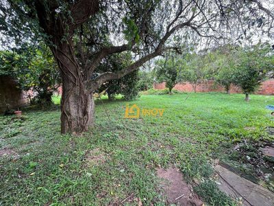 Terreno, 800 m² - Foto 4