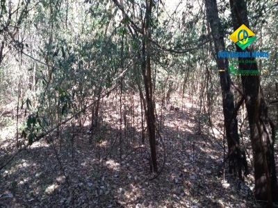 Chácara, 1 quarto - Foto 5