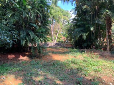 Terreno, 4300 m² - Foto 2