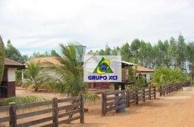 Fazenda, 100000 hectares - Foto 1