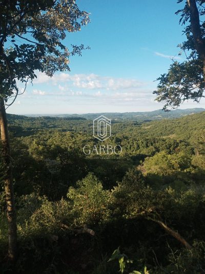 Chácara, 1 quarto, 2 hectares - Foto 3