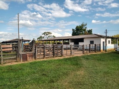 Fazenda, 1 quarto - Foto 3