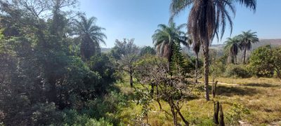 Terreno, 150 m² - Foto 2