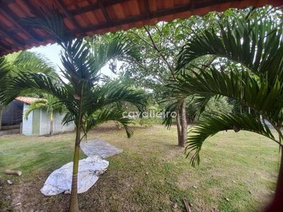 Chácara, 3 quartos, 10000 m² - Foto 4