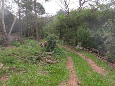 Sítio, 11 hectares - Foto 5