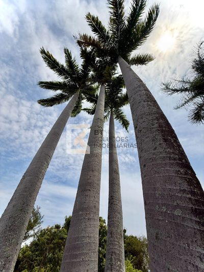 Chácara, 3 quartos, 5000 m² - Foto 5