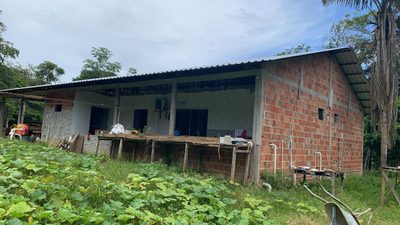 Sítio, 2 quartos, 3136 m² - Foto 4