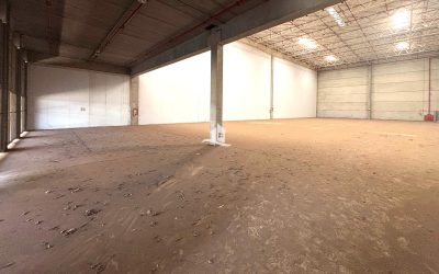 Depósito-Galpão, 1740 m² - Foto 4