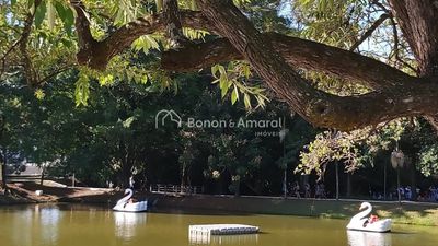 Terreno, 250 m² - Foto 5