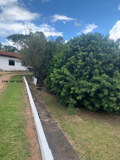 Chácara, 3 quartos, 5000 m² - Foto 3