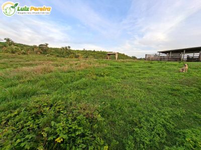 Terreno, 227 m² - Foto 5