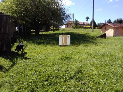 Sítio, 1 quarto, 7 hectares - Foto 3