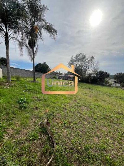 Terreno, 2119 m² - Foto 3