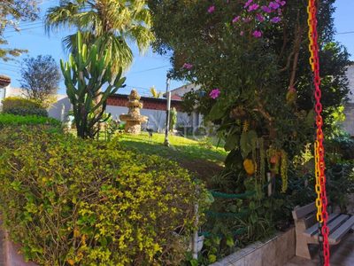 Chácara, 3 quartos, 2300 m² - Foto 4