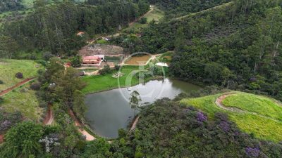 Sítio, 3 quartos, 3 hectares - Foto 1