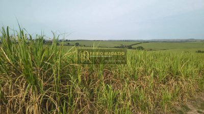 Terreno, 56 m² - Foto 1