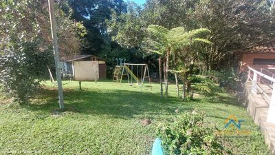 Chácara, 2 quartos, 4962 m² - Foto 3