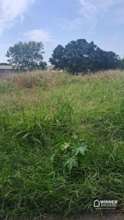 Terreno, 976 m² - Foto 1
