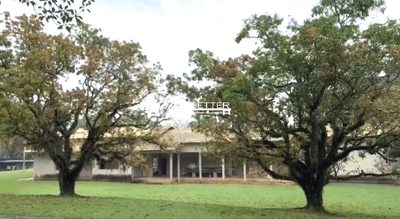 Fazenda, 12 hectares - Foto 3