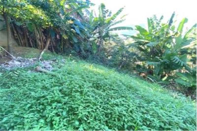 Terreno, 945 m² - Foto 5