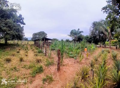 Casa, 2 quartos, 9000 m² - Foto 2