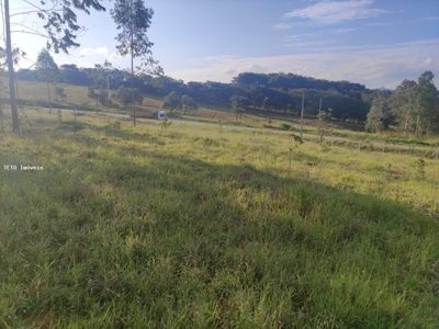 Terreno, 3639 m² - Foto 5