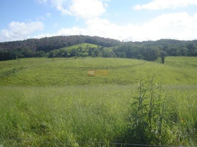 Terreno, 19 hectares - Foto 4