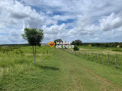 Fazenda, 105 hectares - Foto 2