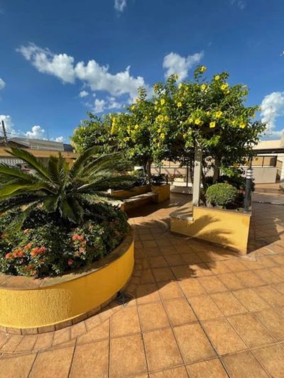 Cobertura, 4 quartos, 497 m² - Foto 4
