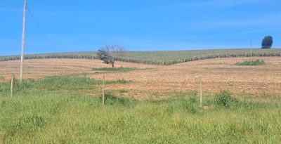 Chácara, 1 quarto, 69 hectares - Foto 1
