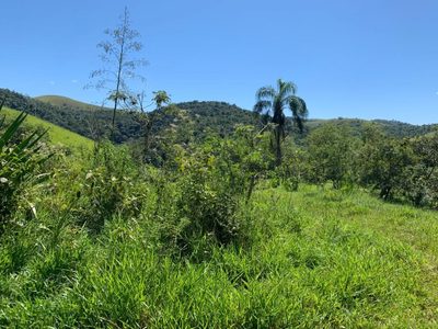 Sítio, 3 quartos, 300 m² - Foto 5