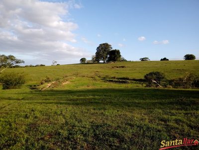 Fazenda, 24 hectares - Foto 2