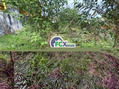 Terreno, 300 m² - Foto 5