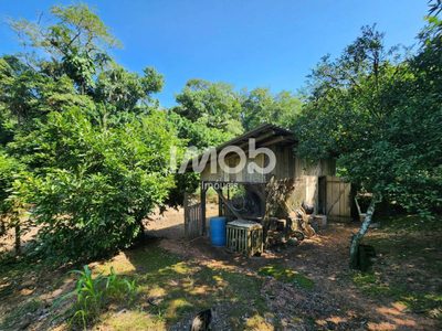 Chácara, 3 quartos, 7 hectares - Foto 5